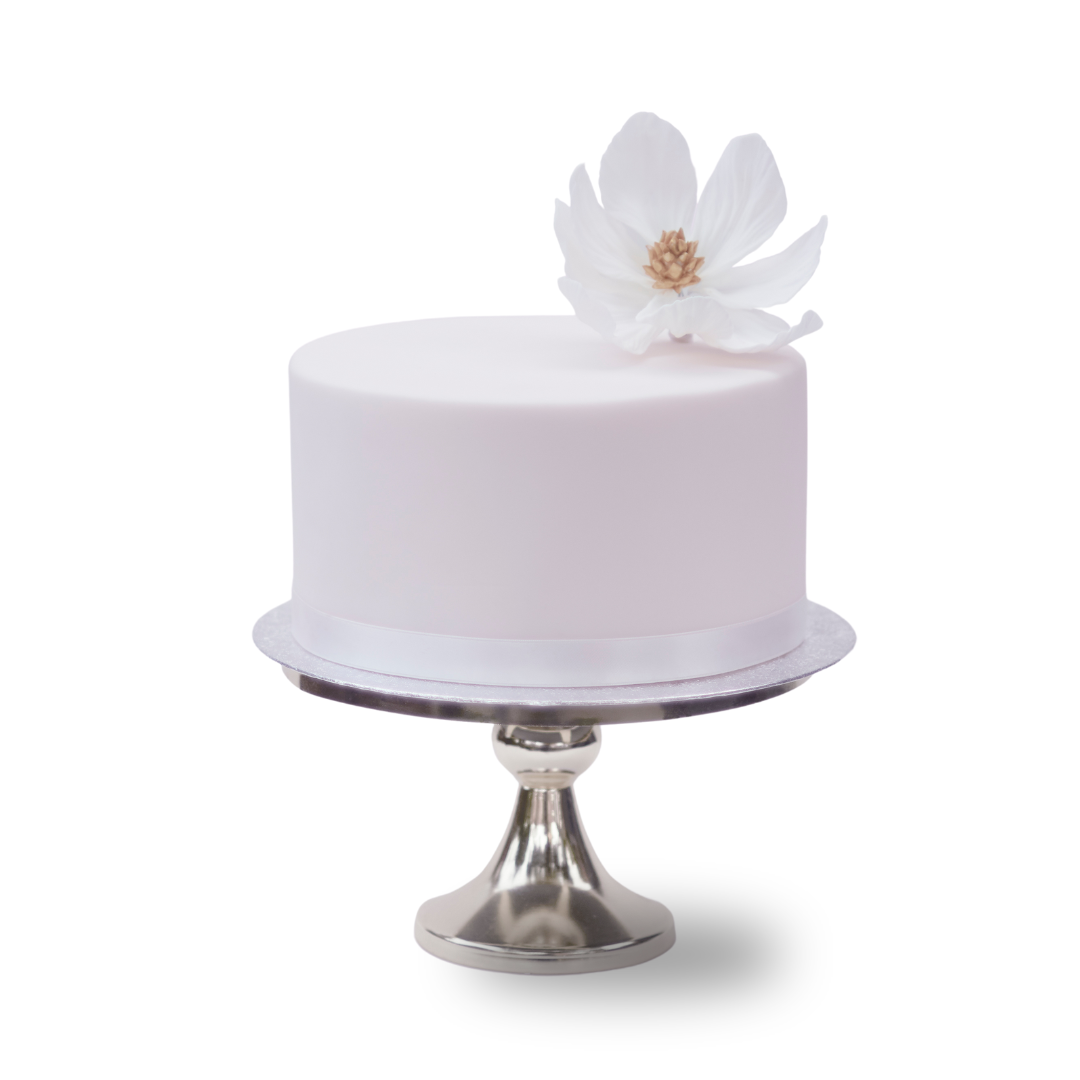 Magnolia Cake