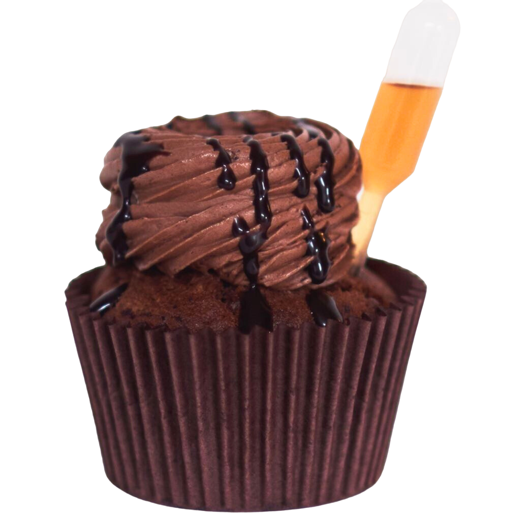 Chocolate Salted Caramel Cupcake